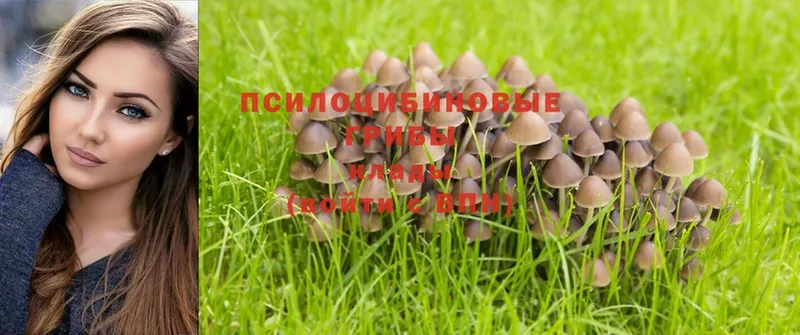 OMG ТОР  Цоци-Юрт  Галлюциногенные грибы Magic Shrooms 