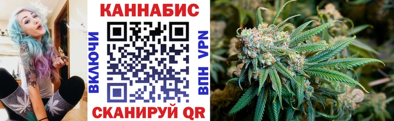 гидра   Цоци-Юрт  Бошки марихуана гибрид 